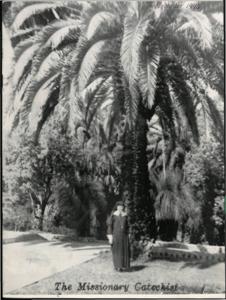 The Missionary Catechist, 1946-11, Volume 22, Number 11, 1946-11-01T00:00:00+00:00